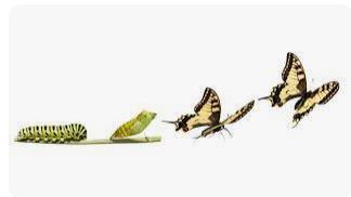 Crystals For Transformation