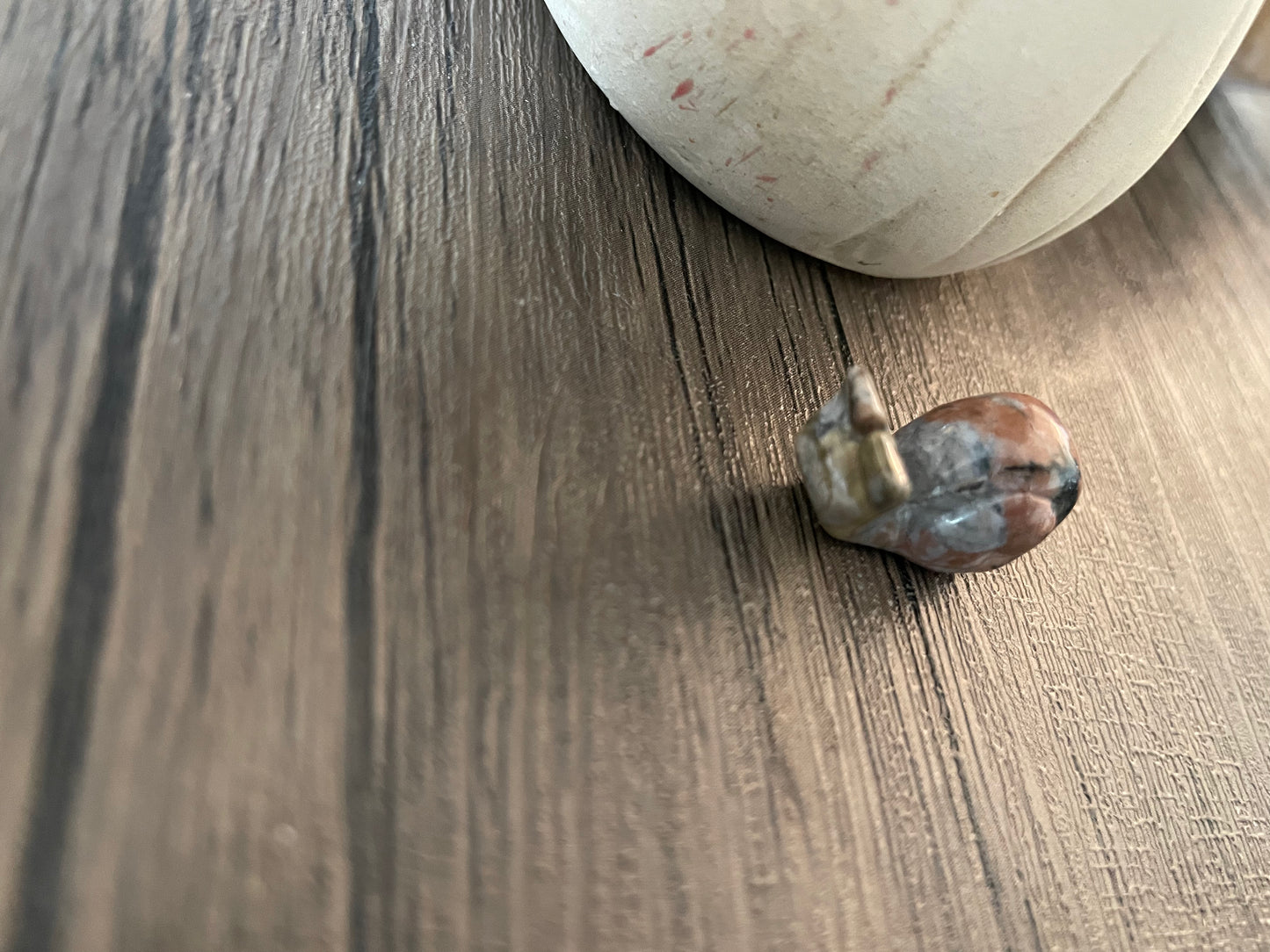 Brecciated Jasper Snail