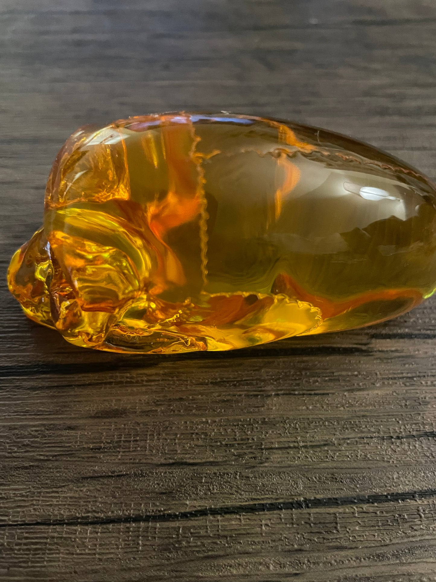 Amber Alien Skull