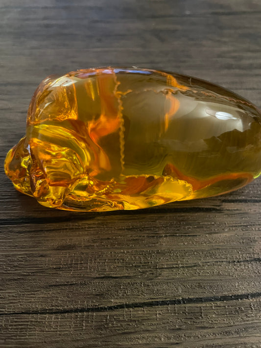 Amber Alien Skull