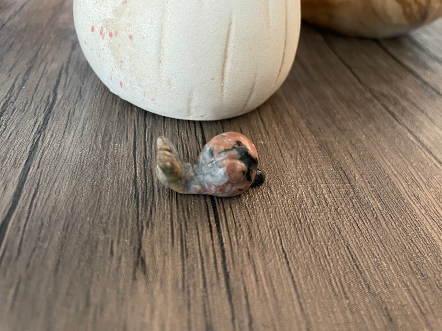 Brecciated Jasper Snail