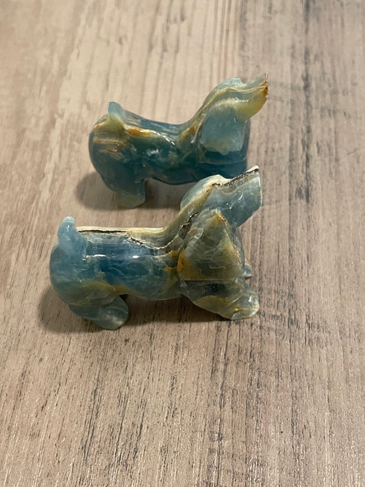 Blue Onyx Cocker Spaniel