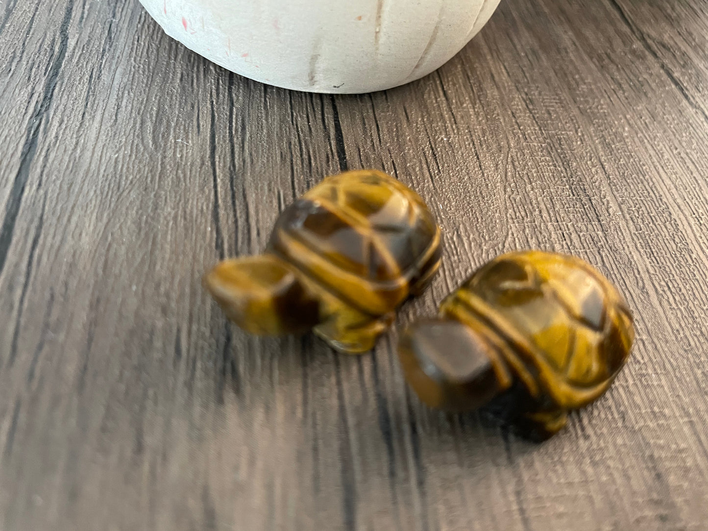 Tiger’s Eye Turtle