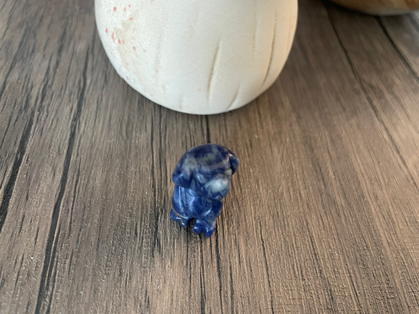 Sodalite Dog