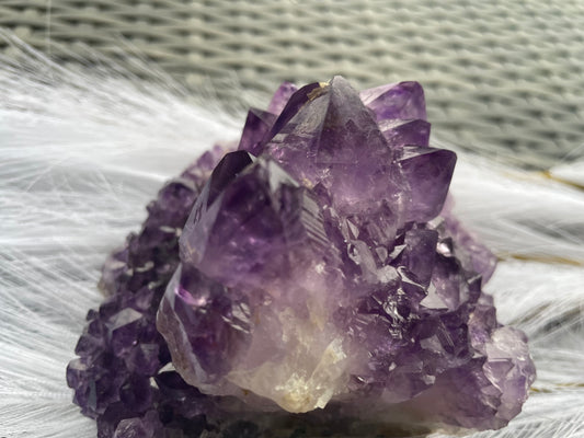 Amethyst Cluster