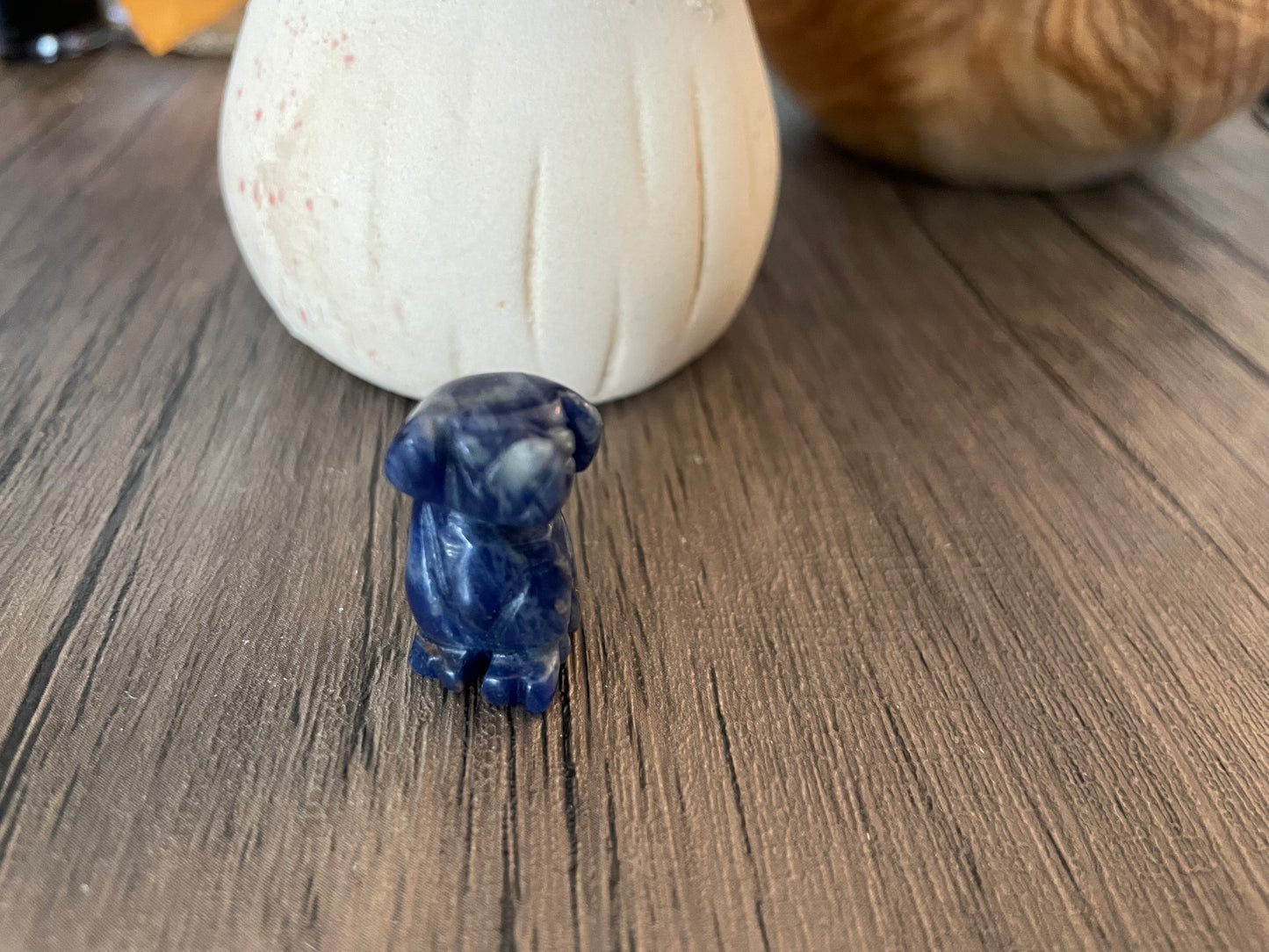 Sodalite Dog