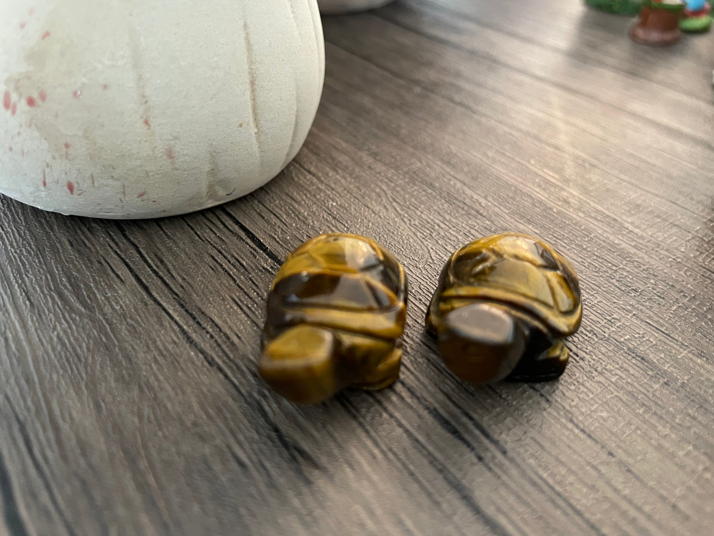 Tiger’s Eye Turtle