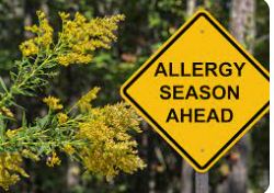 Essential Oils for Allergy Season