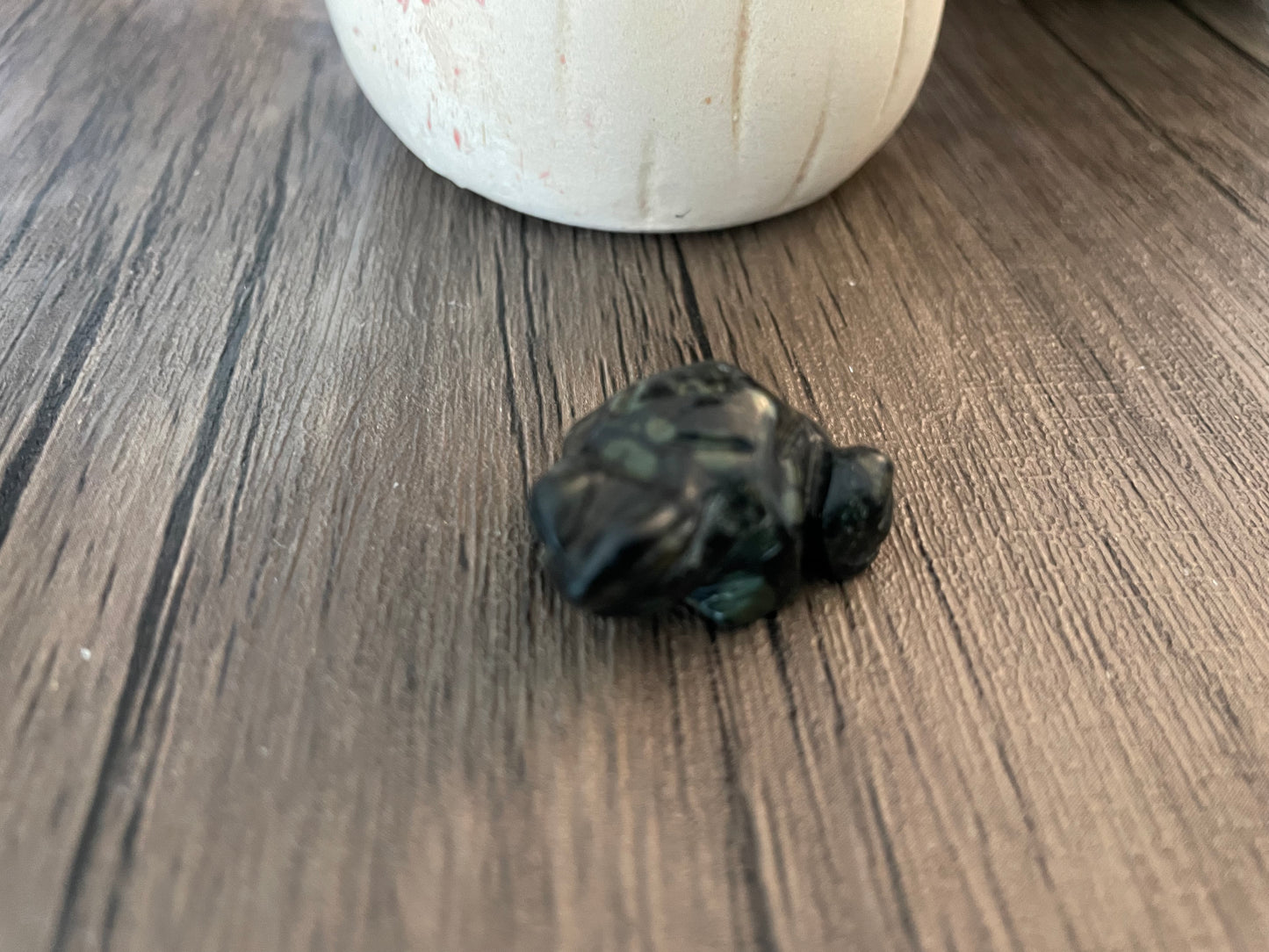 Kambala Jasper Turtle